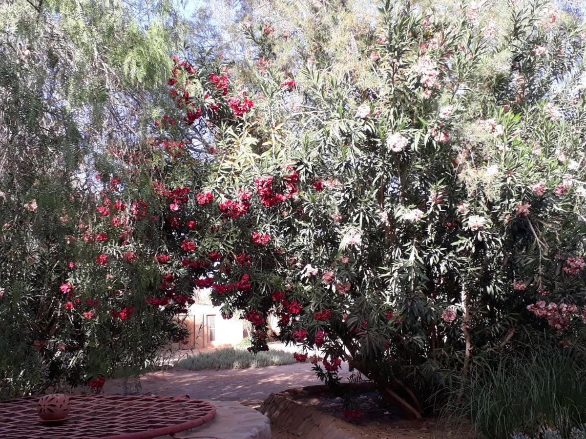 לינה וארוחת בוקר מחמיד Dar Paru מראה חיצוני תמונה