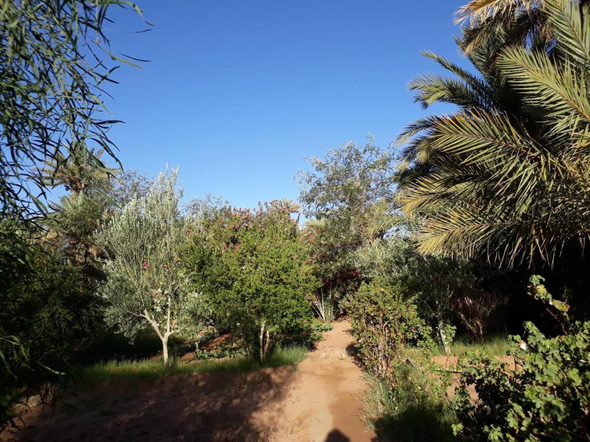 לינה וארוחת בוקר מחמיד Dar Paru מראה חיצוני תמונה