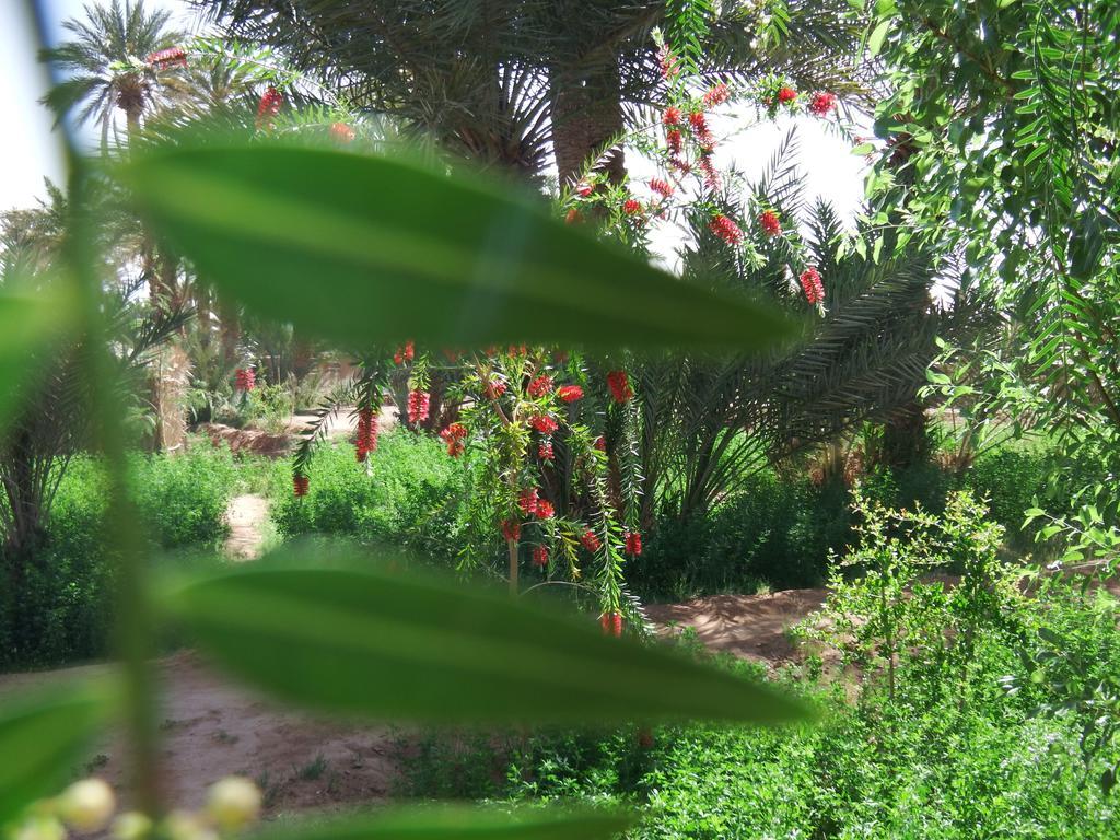 לינה וארוחת בוקר מחמיד Dar Paru מראה חיצוני תמונה