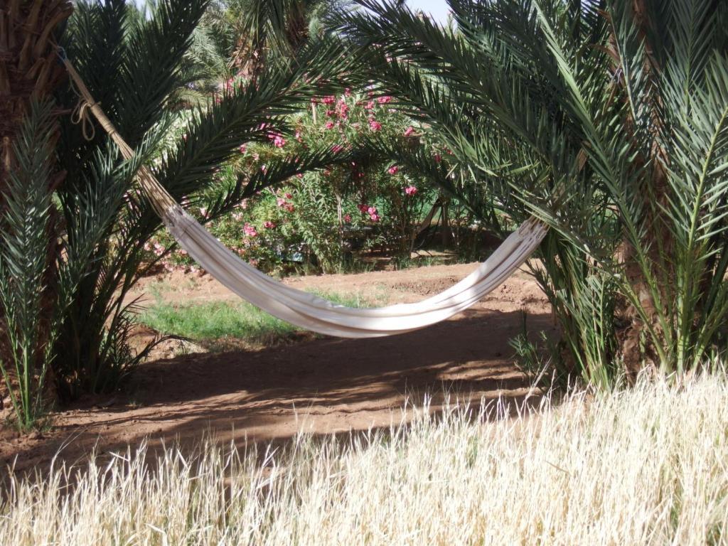 לינה וארוחת בוקר מחמיד Dar Paru מראה חיצוני תמונה