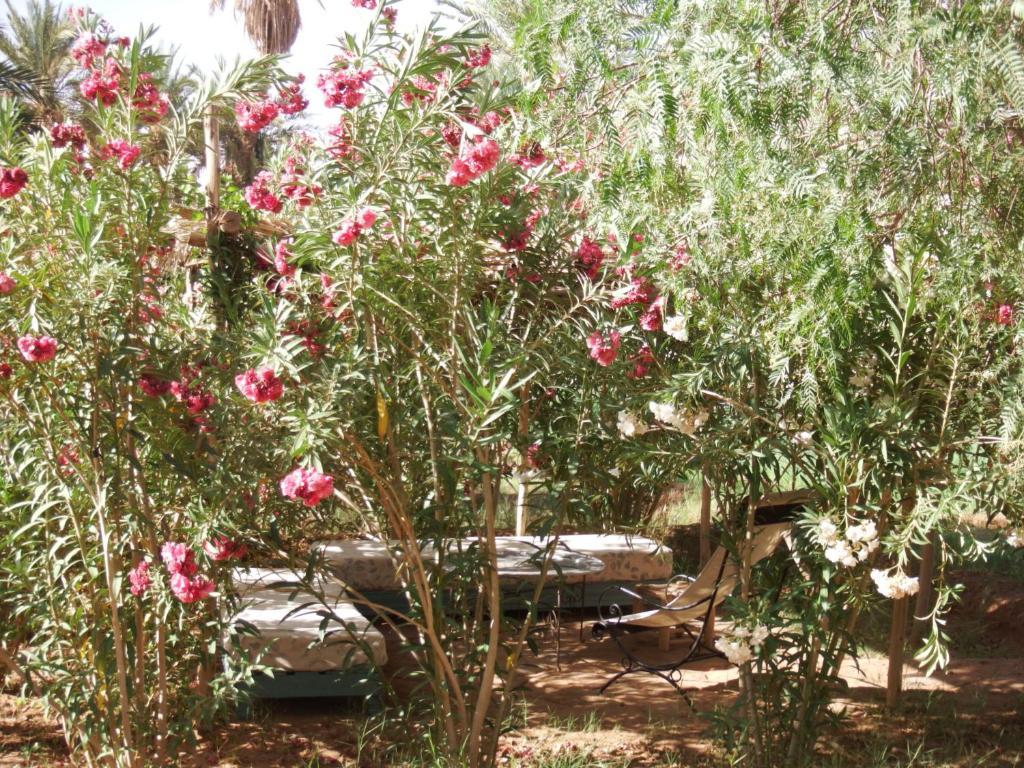 לינה וארוחת בוקר מחמיד Dar Paru מראה חיצוני תמונה